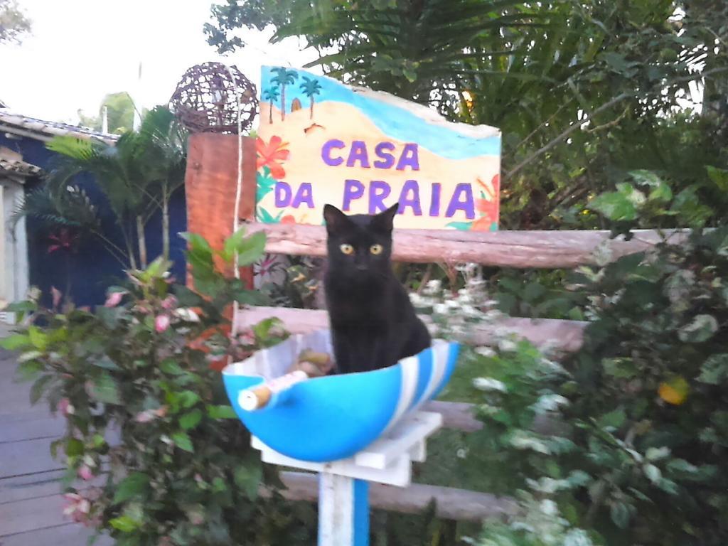 Pousada Casa Da Praia Itaunas Zewnętrze zdjęcie